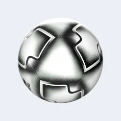 Ballon CollegeID