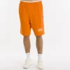 Short en polaire SS25